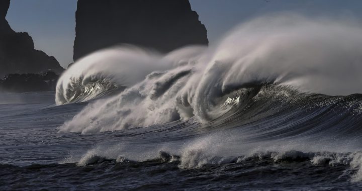 The 2011 Tōhoku Tsunami: The Boy Who Followed His Instinct